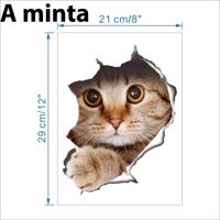 3D Cica Matrica - A minta